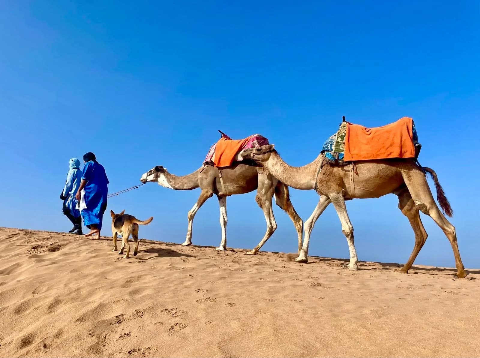 El Fehli Mehdi cover photo